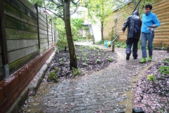langgerekte tuin (1)